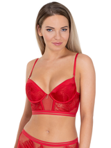 Night Flight Push-Up Bustier Bra
