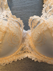 Lace Love Underwired Lightly Padded Bra